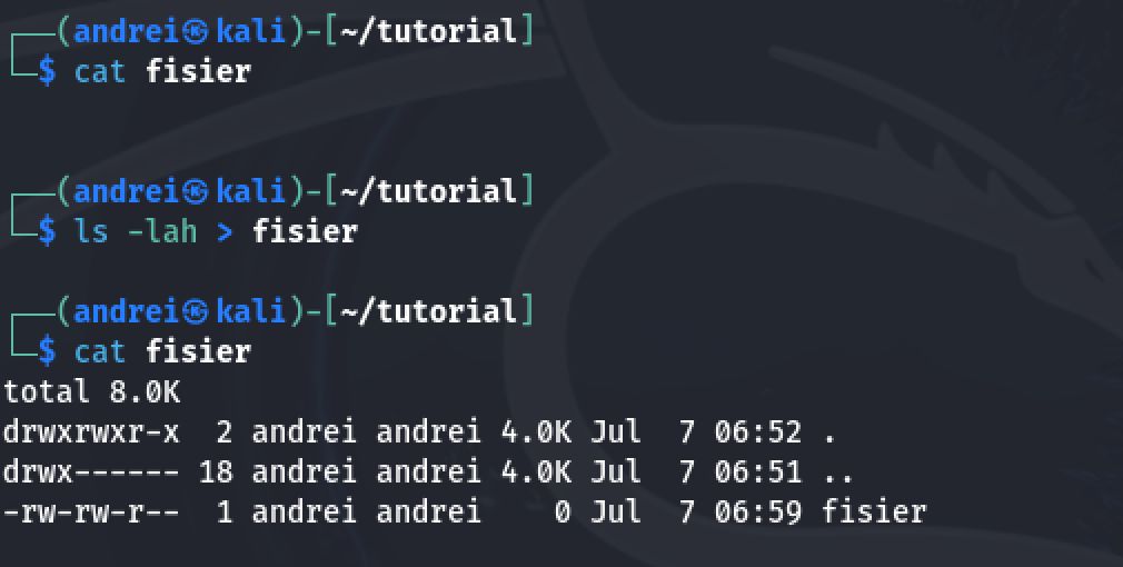 output redirection