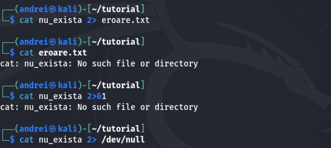 error redirection